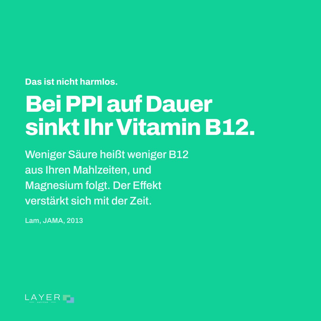 Layer Nutrition IPP, Ansicht 2