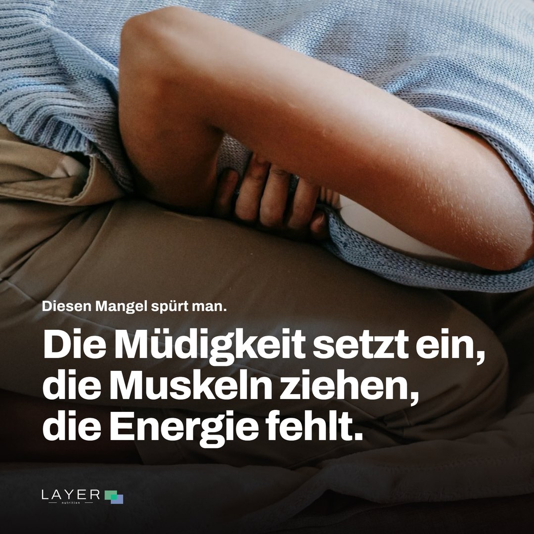 Layer Nutrition IPP, Ansicht 3