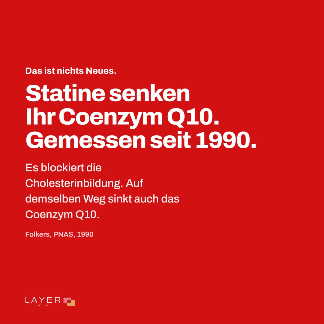 Layer Nutrition Statines, Ansicht 2