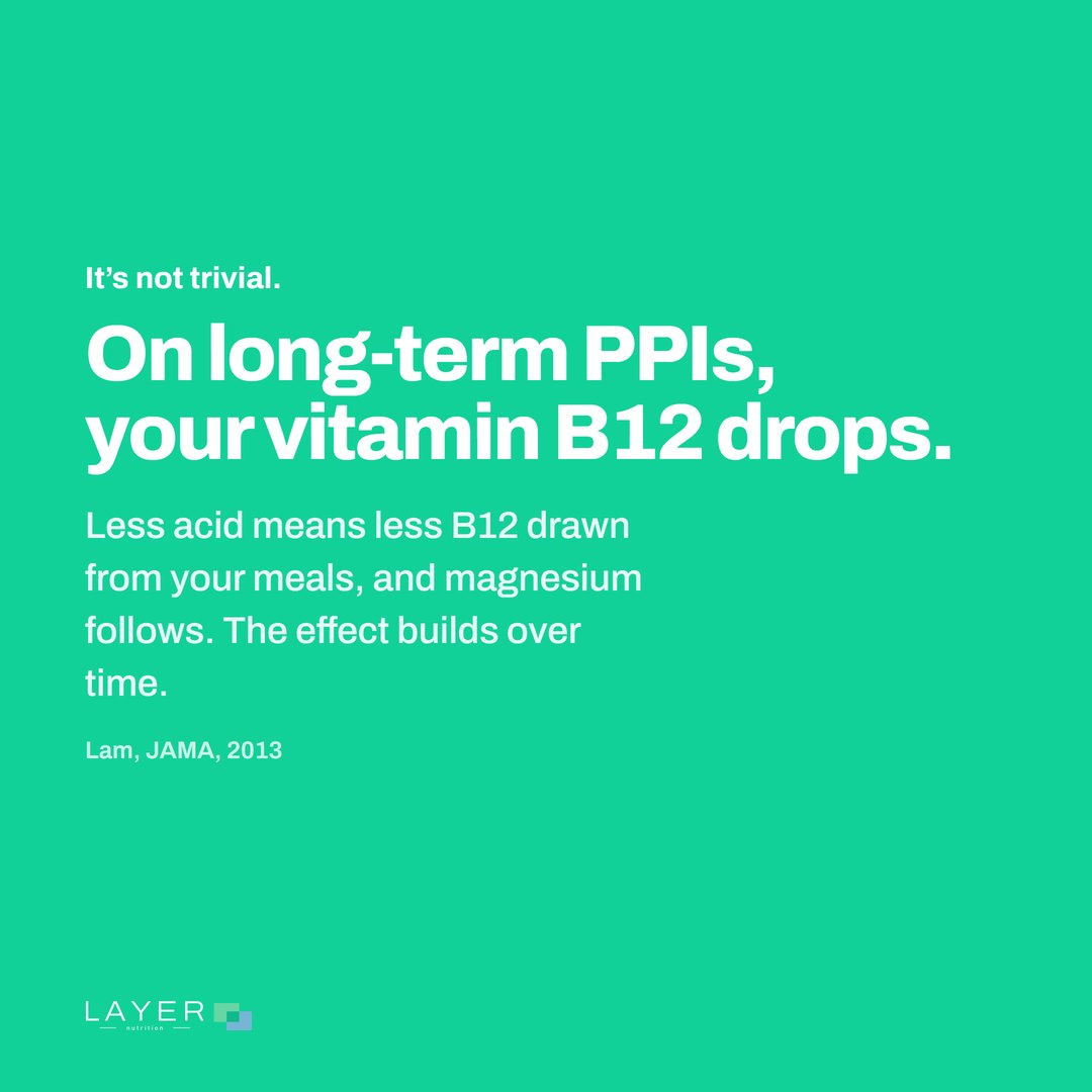 Layer Nutrition IPP, visual 2