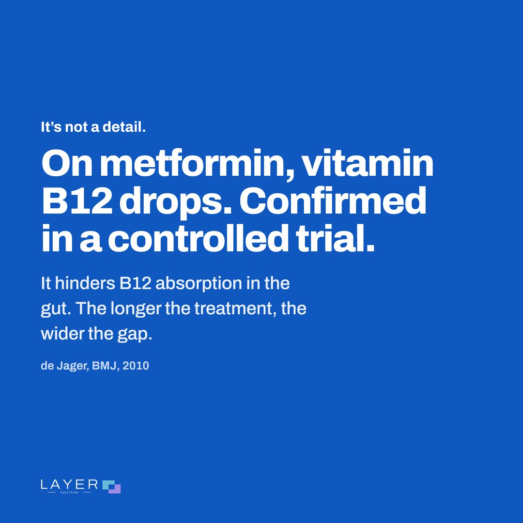 Layer Nutrition Metformine, visual 2