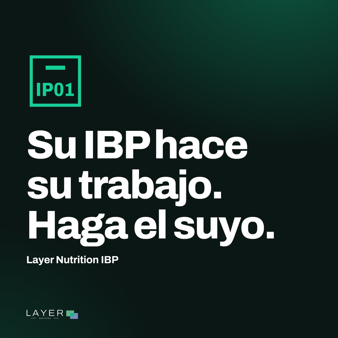 Layer Nutrition IPP, imagen 11