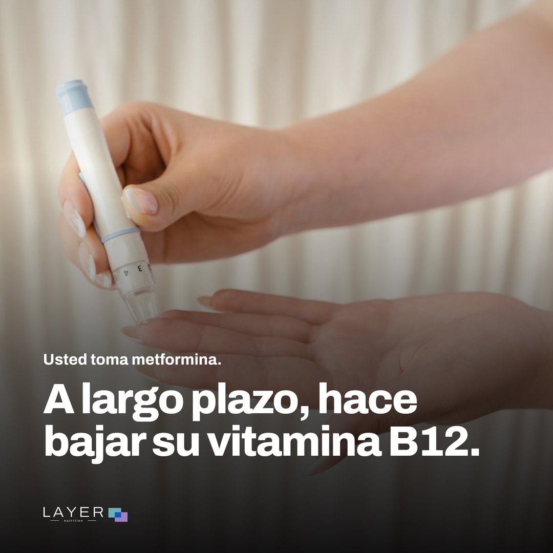 Layer Nutrition Metformine, imagen 1