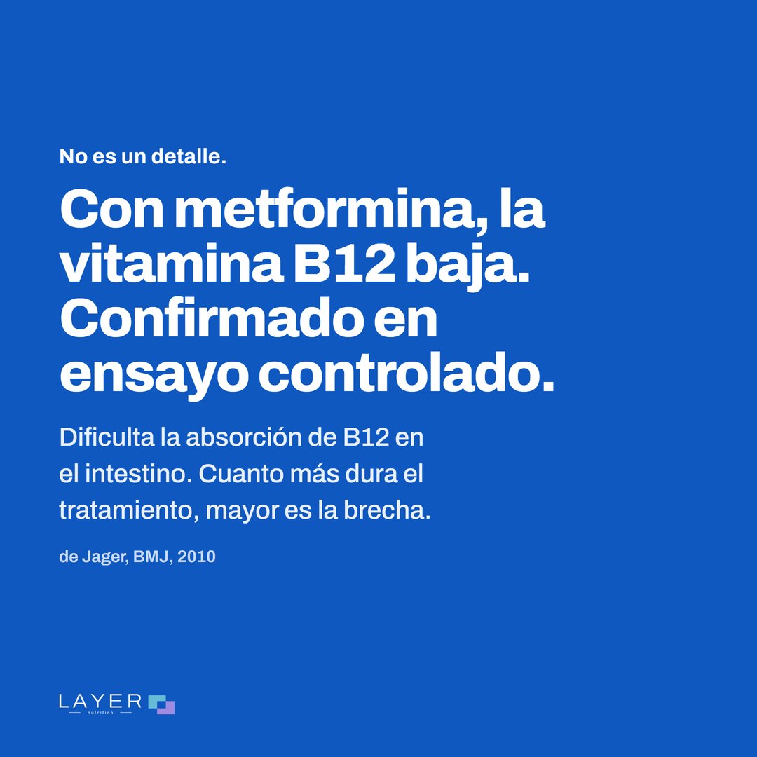 Layer Nutrition Metformine, imagen 2