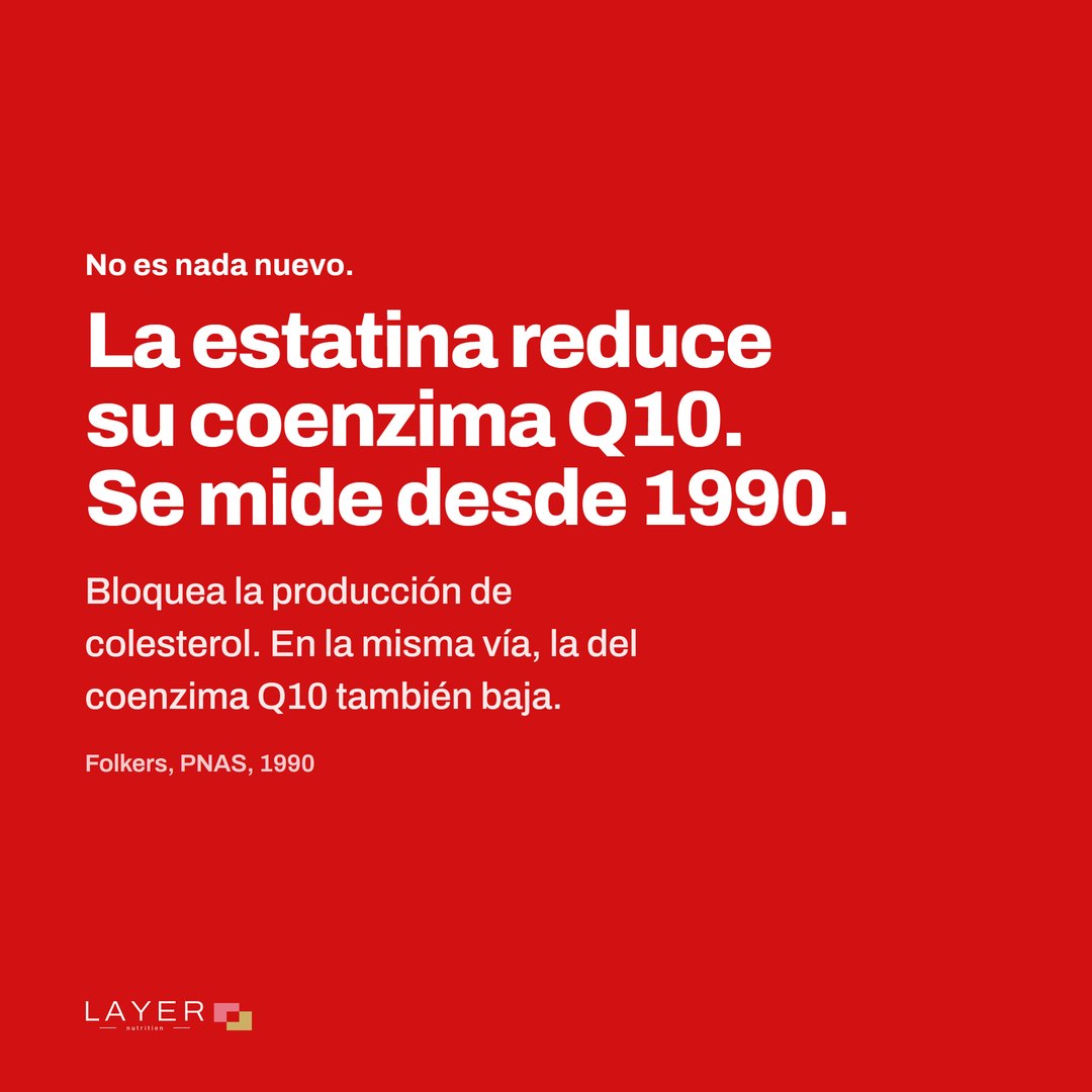 Layer Nutrition Statines, imagen 2