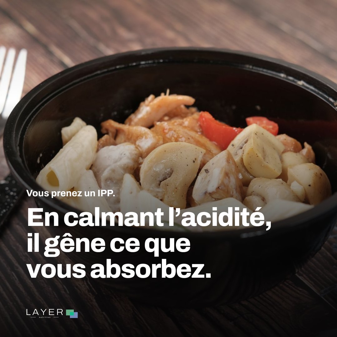 Layer Nutrition IPP, visuel 1