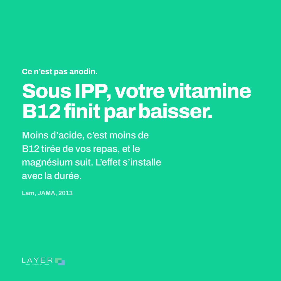 Layer Nutrition IPP, visuel 2