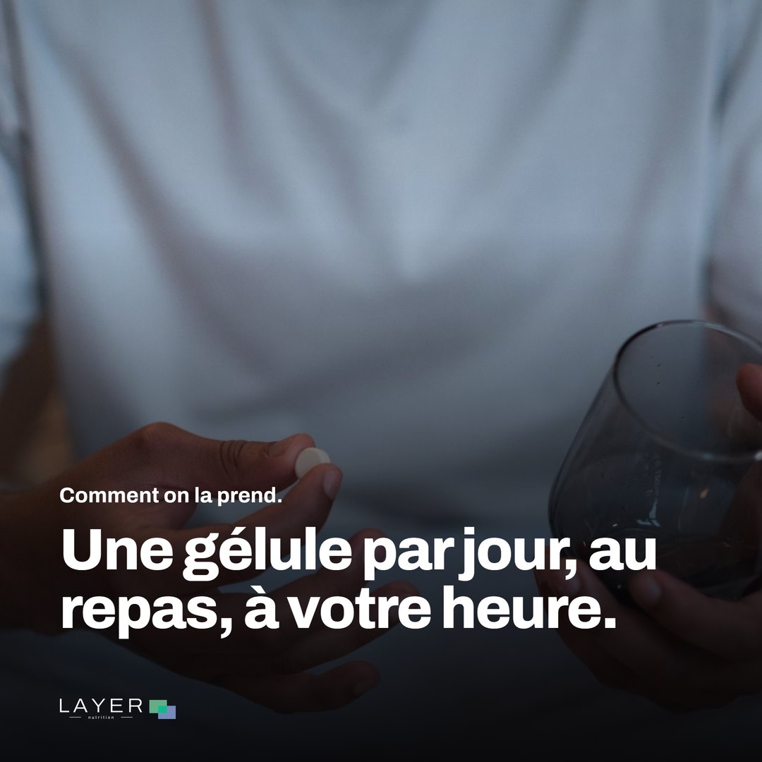 Layer Nutrition IPP, visuel 10