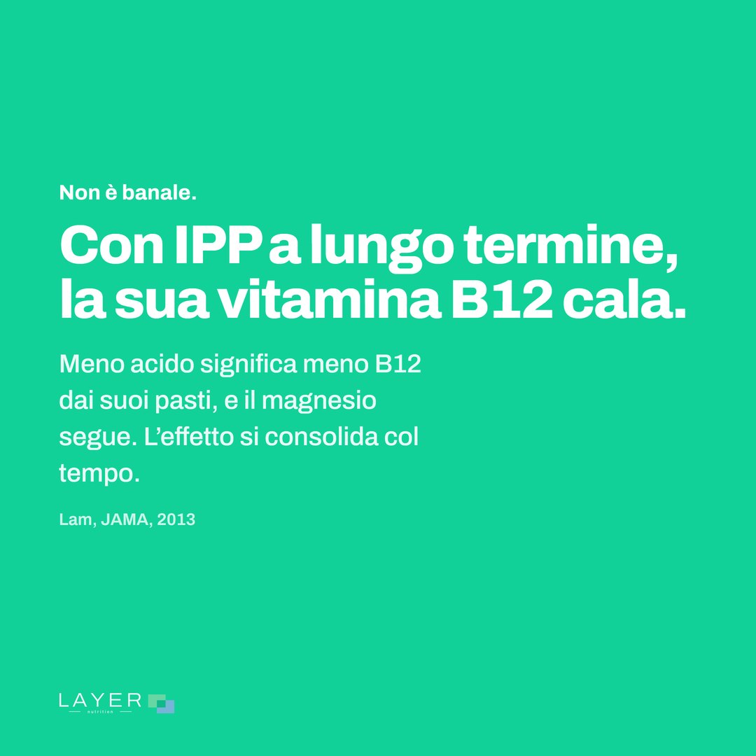 Layer Nutrition IPP, immagine 2