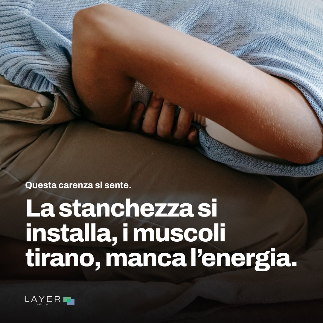 Layer Nutrition IPP, immagine 3