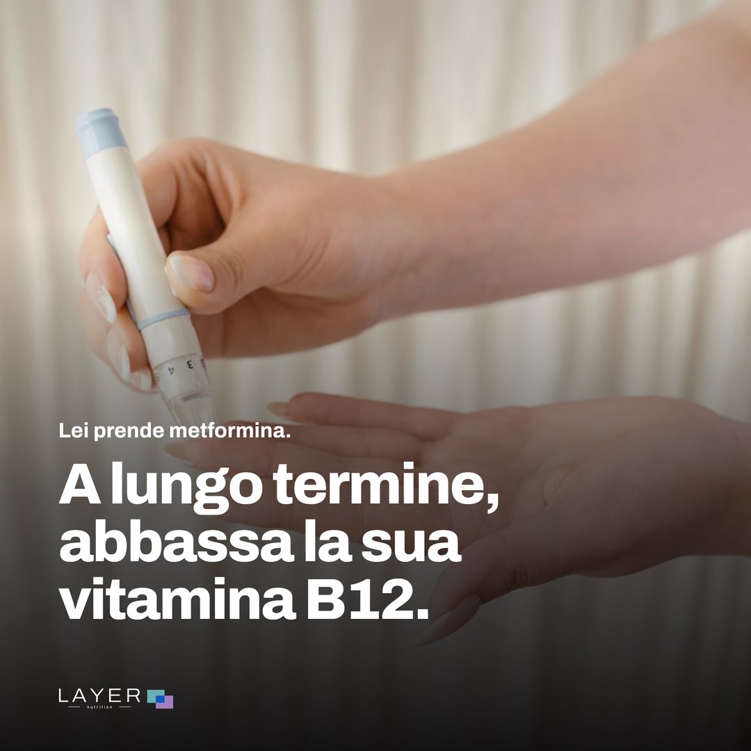 Layer Nutrition Metformine, immagine 1