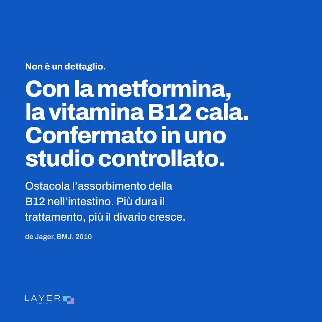 Layer Nutrition Metformine, immagine 2