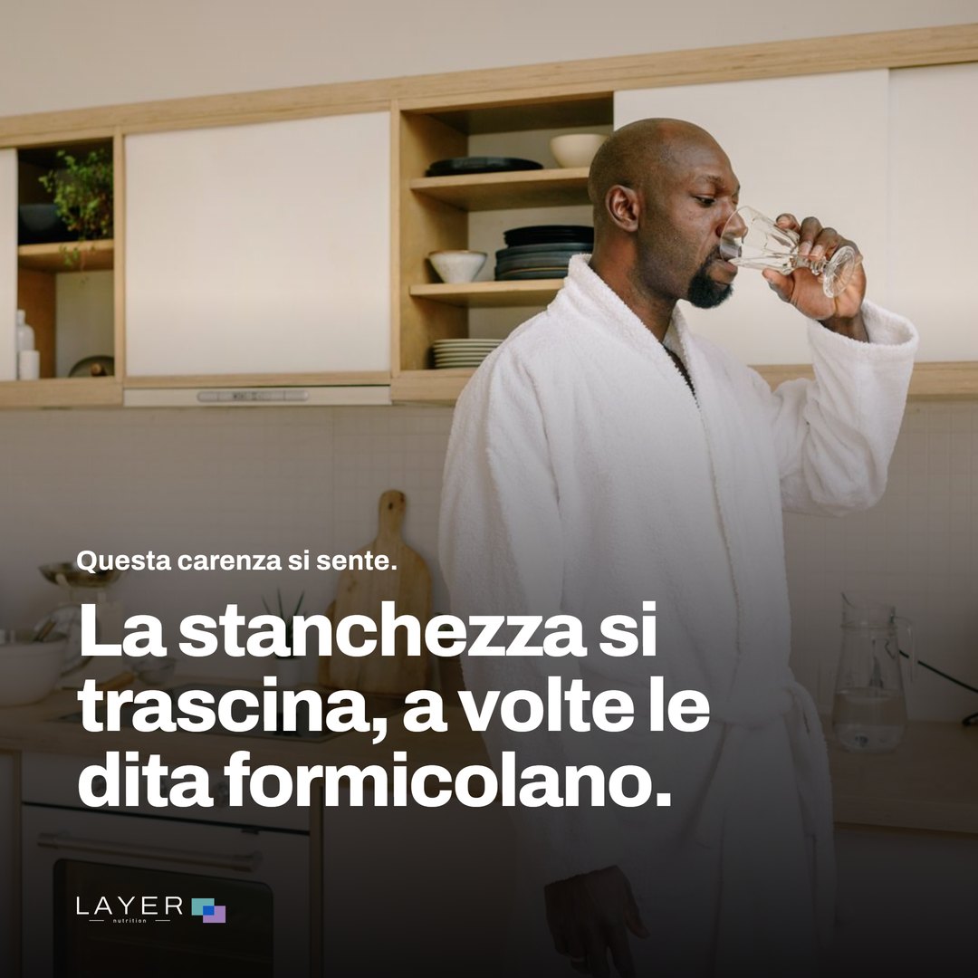 Layer Nutrition Metformine, immagine 3
