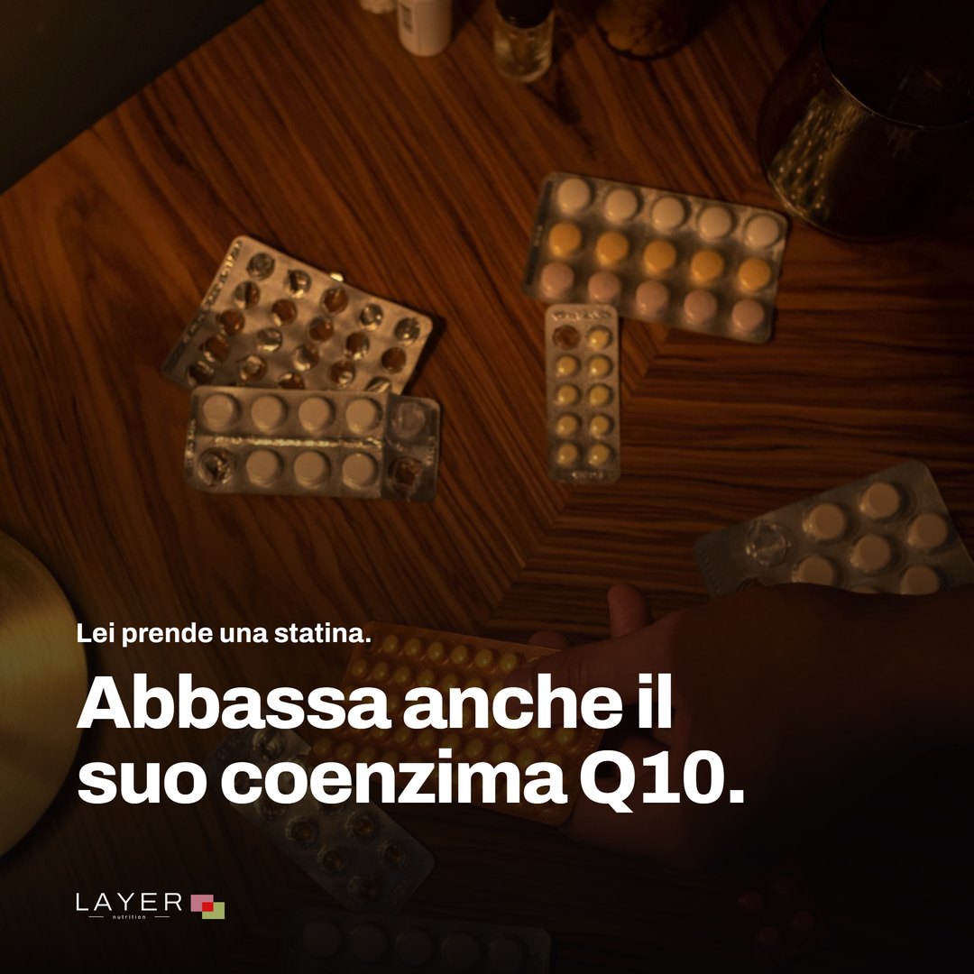 Layer Nutrition Statines, immagine 1