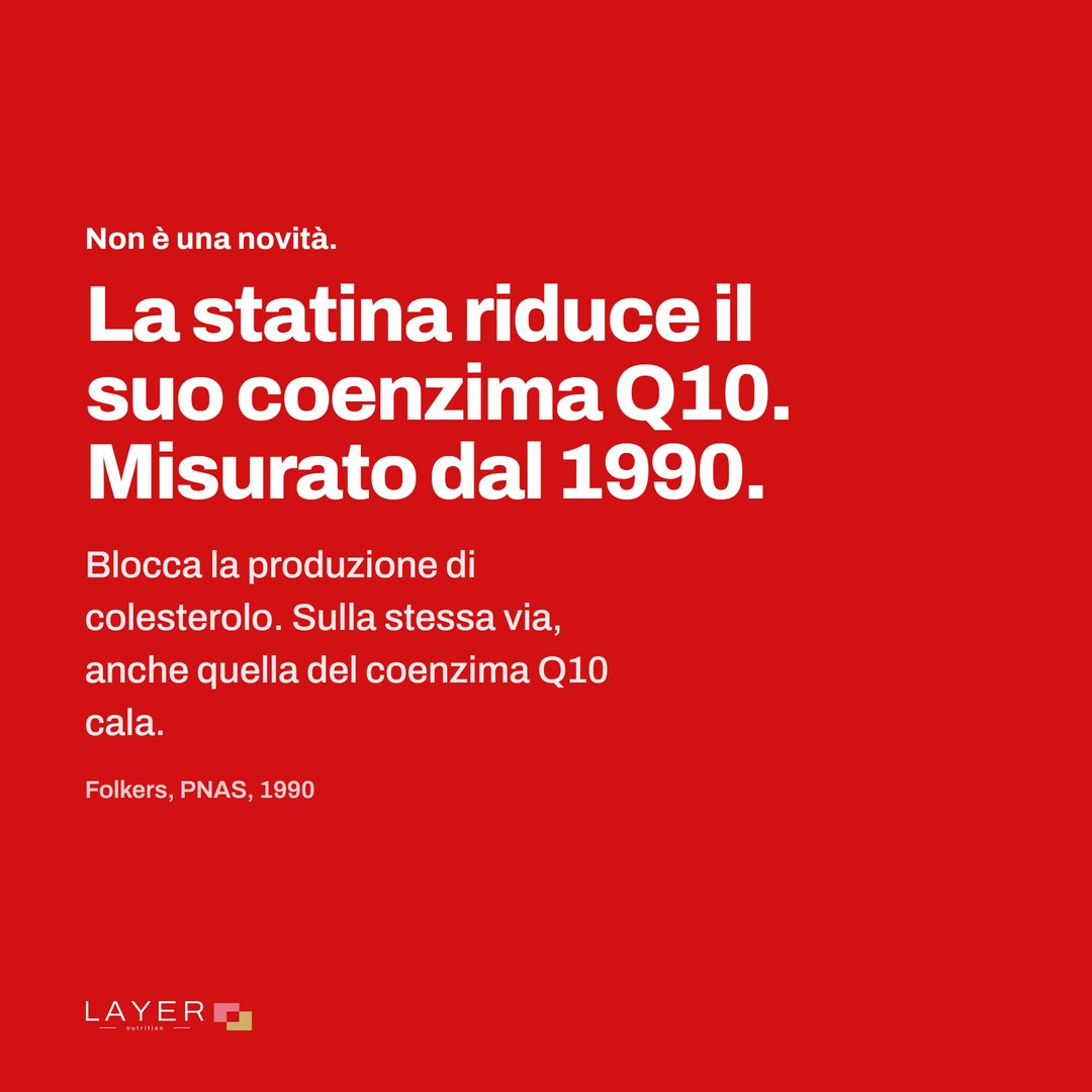 Layer Nutrition Statines, immagine 2
