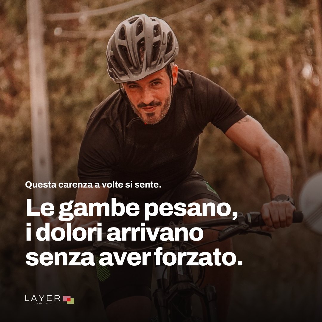 Layer Nutrition Statines, immagine 3
