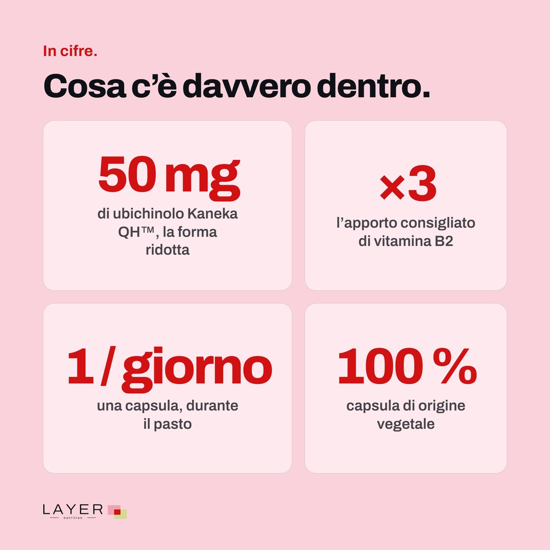 Layer Nutrition Statines, immagine 8