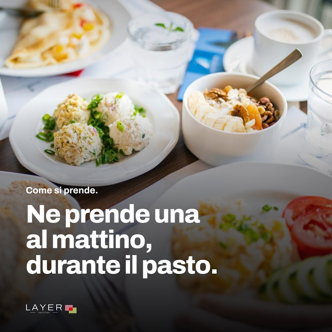 Layer Nutrition Statines, immagine 9