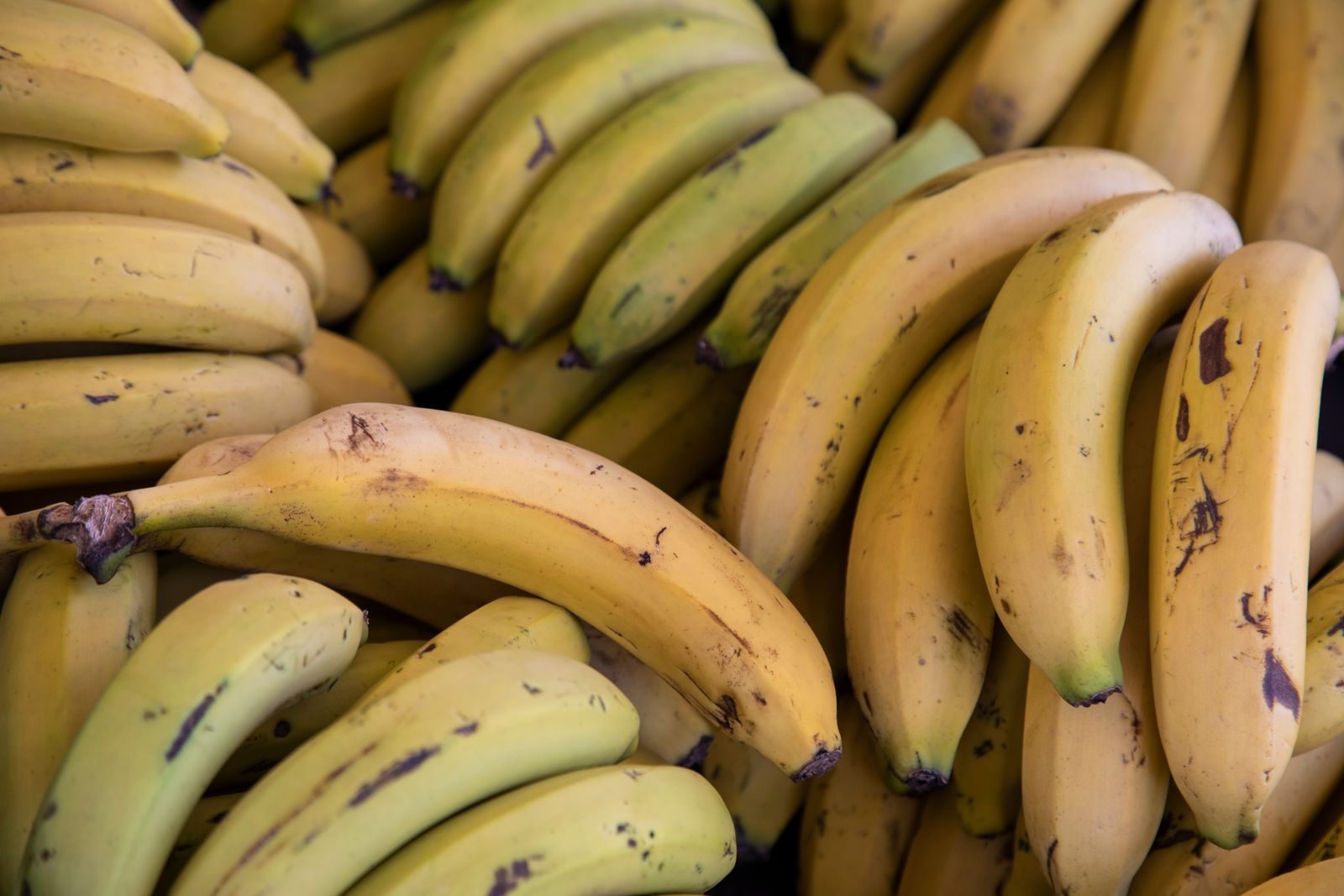Bananas, a source of fibre