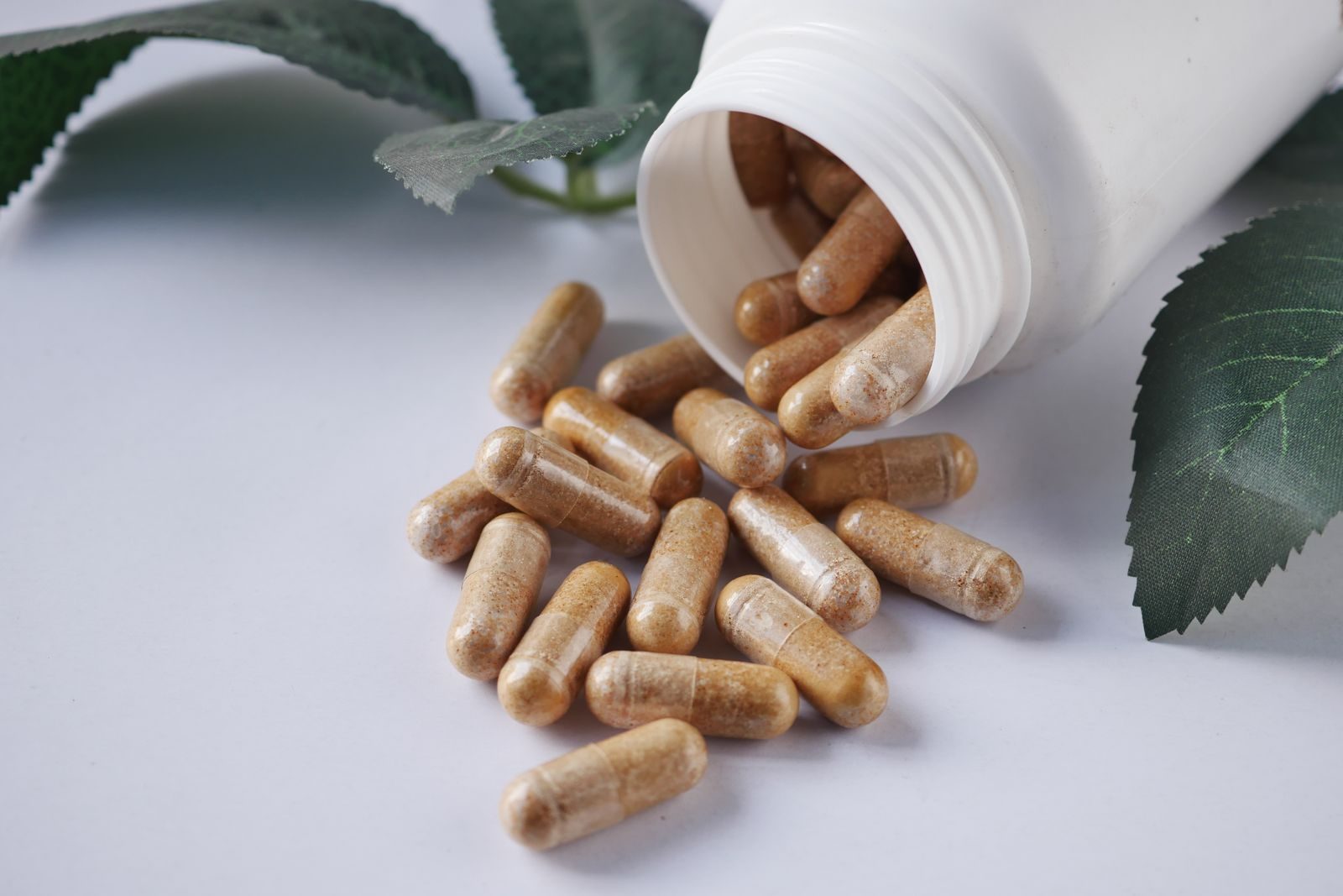 Gélules de vitamine B9