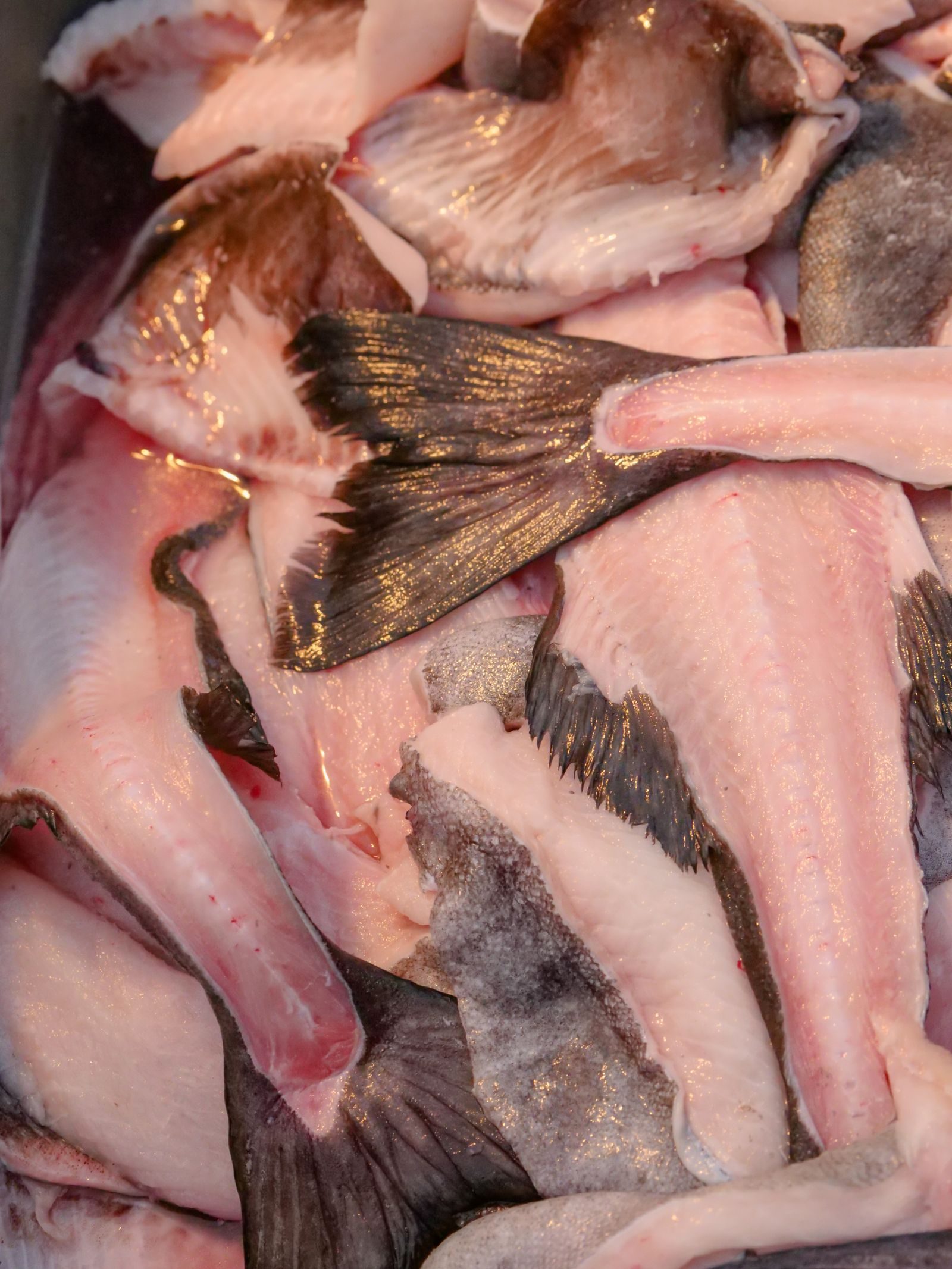 Filet de poisson blanc frais